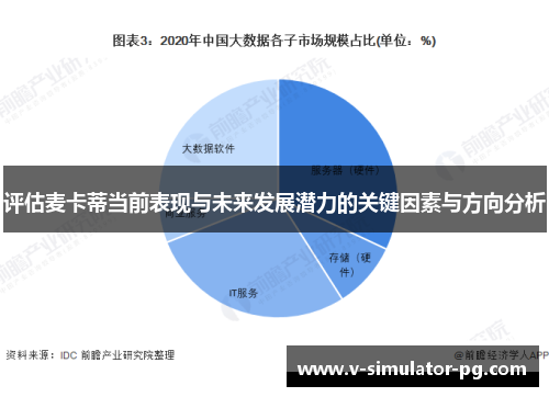 评估麦卡蒂当前表现与未来发展潜力的关键因素与方向分析