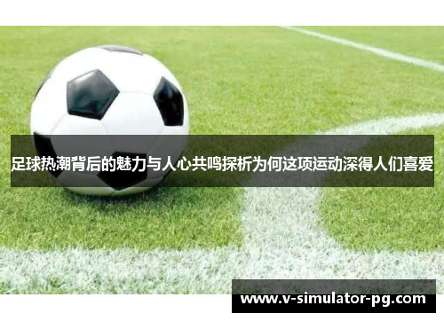 足球热潮背后的魅力与人心共鸣探析为何这项运动深得人们喜爱