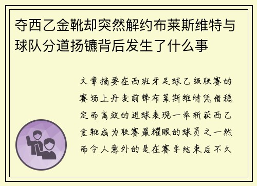 夺西乙金靴却突然解约布莱斯维特与球队分道扬镳背后发生了什么事 夺西乙金靴却突然解约布莱斯维特与球队分道扬镳背后发生了什么事